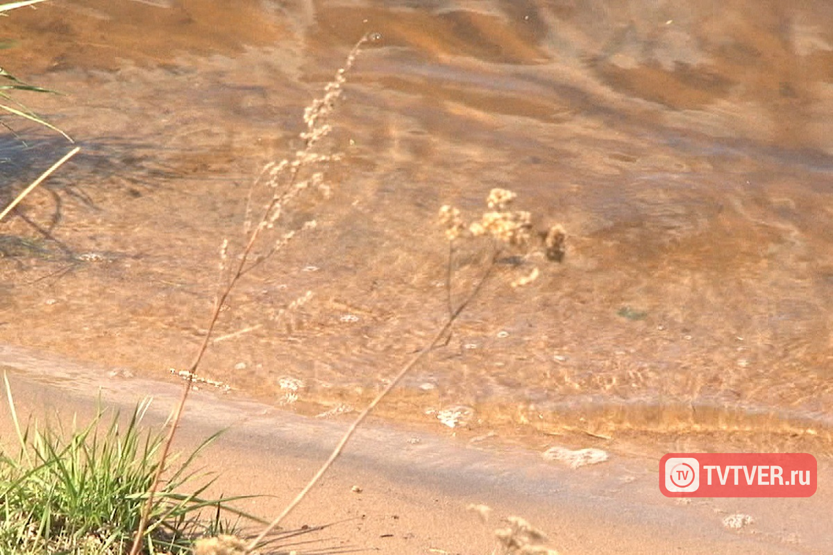 Канализационные стоки загрязняли реку в Тверской области