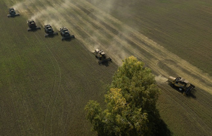 Минсельхоз США оценил в 52 млн т экспорт пшеницы из РФ в новом сельхозгоду